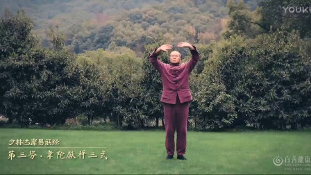 少林达摩易筋经十二势教学 高清