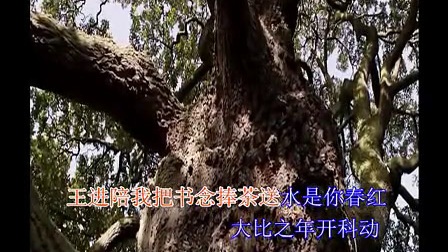 河南道情伴奏 访苏州花园