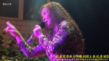 豫剧《打金枝》选段