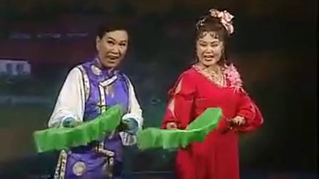 经典二人转小帽《十朵花 》下载