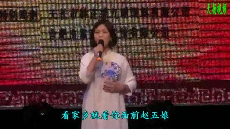 扬剧名家名票演唱会3带字幕