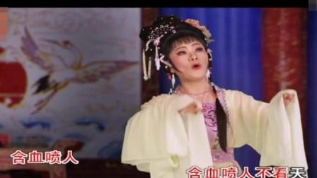 潮剧精选唱段《妙兰并非无情义》下载