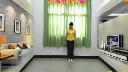 辣妈鬼步广场舞 22步《火焰情歌》附分解