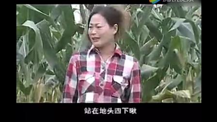 安徽民间小调《小寡妇干农活》