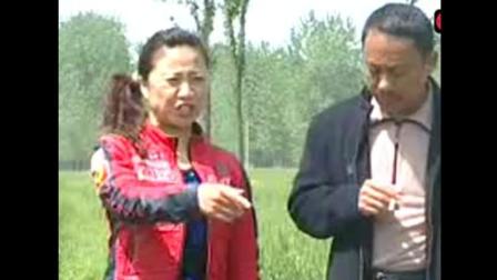 民间小调经典