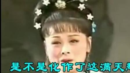黄梅戏《孟姜女》冷水浇头怀抱冰