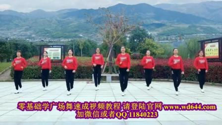 广场舞基本步广场舞教学背面