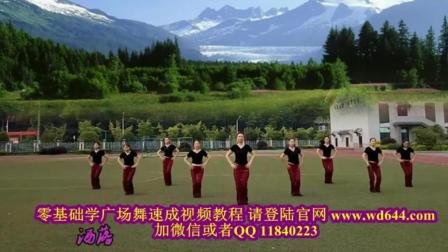 玩腻广场舞步最炫民族风广场舞教学