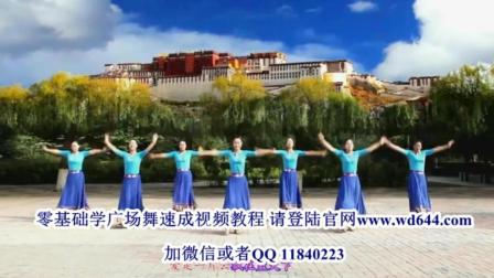 广场舞十六步双人舞跳舞广场舞教学视频