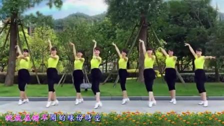 步广场舞教学视频广场舞视频大全歌曲列表
