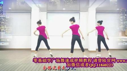 现代广场舞教学广场民族舞视频大全