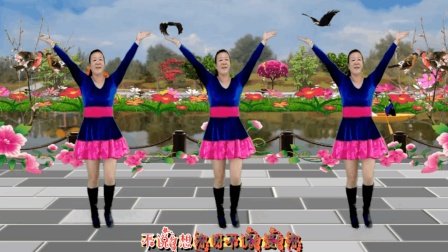 红领巾蝶舞芳香广场舞《最美最美》惠州玲玲下载