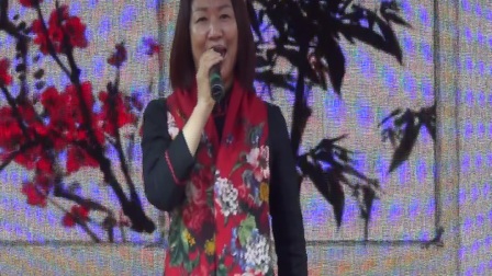 晋剧清唱雷改琴