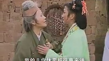 黄梅戏《老来苦》外景《保成以后看》
