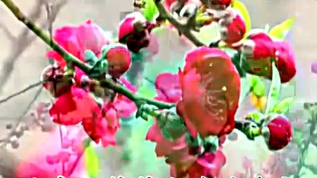 冉先辉搜集部分湖南花鼓戏《反十字调》