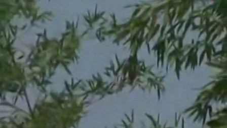 秦腔戏曲大全名家名段《商芳会秦腔》标清