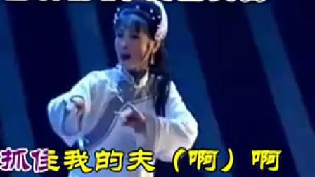 黄梅戏 《大奴大青天》黄梅戏大全