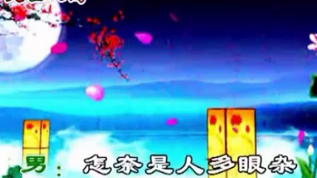 黄梅戏 《难忘那时初相见》