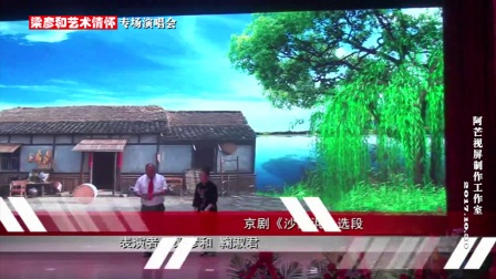 《红灯记》《沙家浜》选段