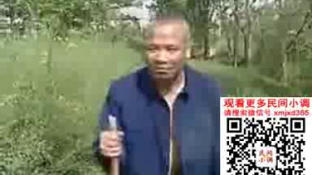 刘晓燕《八大难》新民间小调