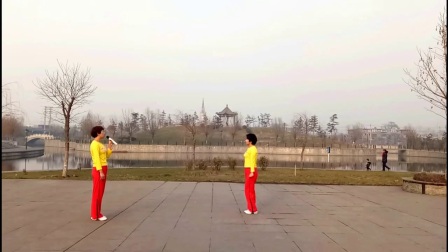 《花开的时候你来看我》中老年广场舞2017