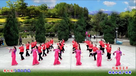 《红梅花又开》编舞春英