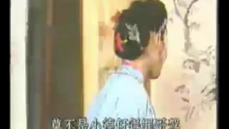 黄梅戏《小辞店》 选段  黄梅戏大全  天仙
