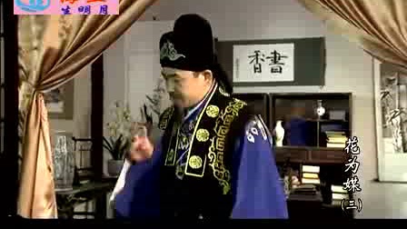 评剧连续剧《花为媒》完整版