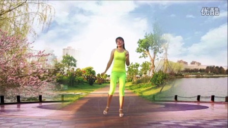 广场舞2017最新广场舞教学视频《逃逃逃》性