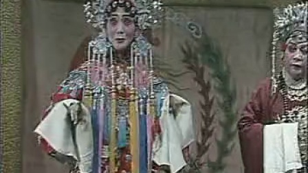 河南豫剧《打金枝》刘忠和先生