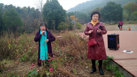 锡剧《珍珠塔  前园会》高清下载