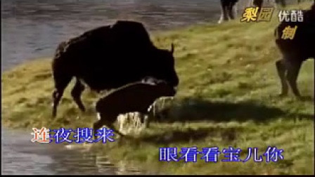 豫剧《金品豫剧》选段1