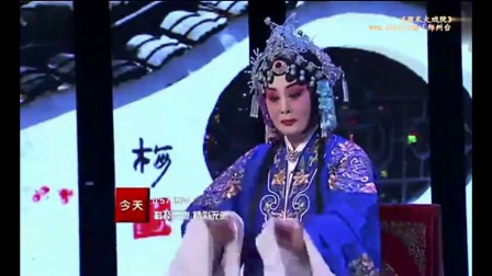 豫剧大师崔兰田高徒崔小田再现经典《桃花庵》下载