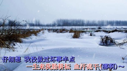 曲剧《顶风踏雪》选段高清