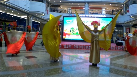 《中国美》包淑莲第十二届下载