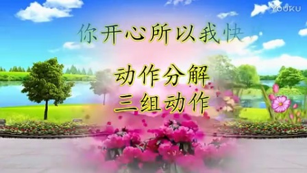 玫香广场舞《你开心所以我快乐》附分解2017