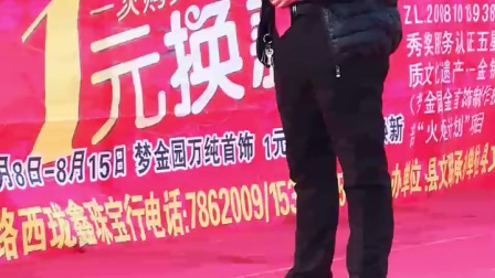 平乡县文艺戏曲协会走进葛村高清