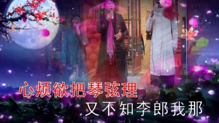 黄梅戏原唱《春风送暖》带字幕