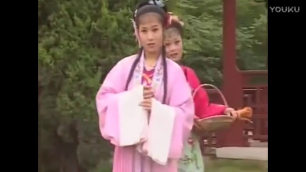 地方戏曲黄梅戏《错配婚缘》高清
