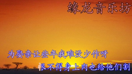 豫剧伴奏 《儿大不由爹》 选段
