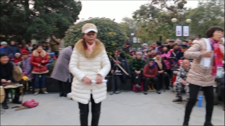 太和公园袁国华剧场豫剧选段一演唱李雨