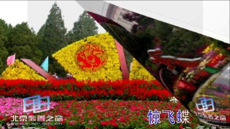 黄梅戏原唱《我问天上》