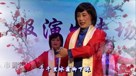 黄梅戏唱段《红梅赞》
