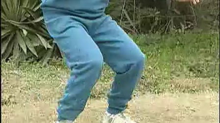 中老年养生保健操 内劲一指禅
