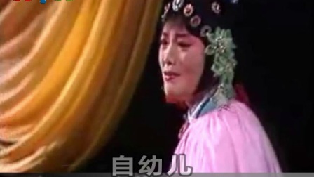 黄梅戏《慈母泪 》选段一闻此言生死定 伴奏
