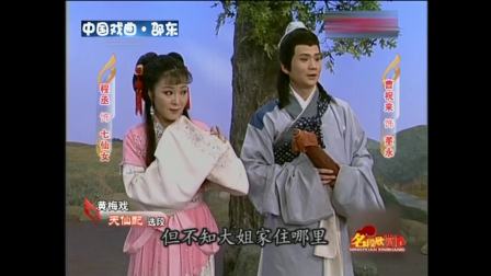 黄梅戏《天仙配》选段3下载