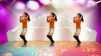 玫香广场舞《DJ女人没有错》 附分解2017最