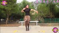 吉美广场舞 《DJ拥抱》附教学及背面 高清下载