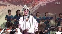 柳子戏《牡丹亭 寻梦》 江儿水 高清