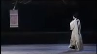 青春版昆曲《牡丹亭》